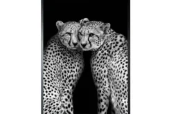 New Art Print Cheeta CHEET-01 Schilderijen