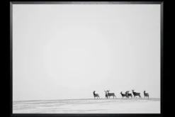 Schilderijen-Luxe Framing Art Art Print Herten ISC095-TU01