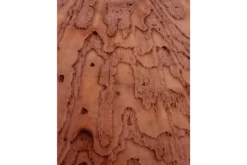 Sale Art Print Layered Pink Brains Schilderijen