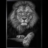 Schilderijen-Luxe Framing Art Art Print Leeuwenkop SHB634-TU0