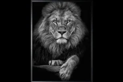 Schilderijen-Luxe Framing Art Art Print Leeuwenkop SHB634-TU0
