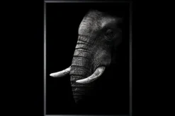 Schilderijen-Luxe Framing Art Art Print Olifant SHA414