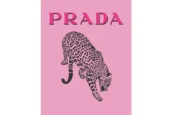 Sale Art Print Prada Roze FA-276 Schilderijen