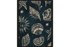Sale Art Print Seashells Midnight Schilderijen
