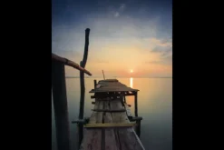 Schilderijen-Urban Cotton Art Print Sun Shy Cirebon