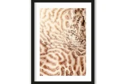 Schilderijen-Urban Cotton Art Print The Brains of the Sea