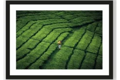 Sale Art Print Tote Pengalengan Schilderijen