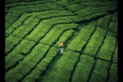 Sale Art Print Tote Pengalengan Schilderijen