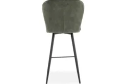 New Barkruk Auxerre Barkrukken