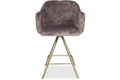 Barkrukken-Devira Barkruk Joko