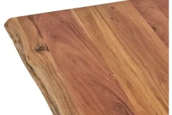 Bartafels-MySons Bartafel Nebel