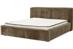 Discount Bed  Elysium Boxsprings