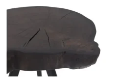 Bijzettafels|Salontafels-Country Style Bijzettafel Ruw Zwart