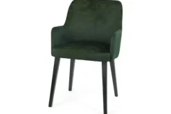 Hot Eetkamer fauteuil Louix Eetkamerstoelen