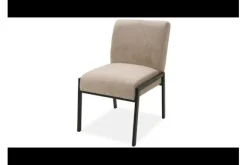 Eetkamerstoelen-Donc Eetkamerstoel  Duuk