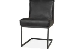 Eetkamerstoel  Fun Eetkamerstoelen