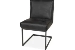 Eetkamerstoel  Fun Eetkamerstoelen