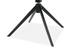 Clearance Eetkamerstoel Present 455 Odette Eetkamerstoelen