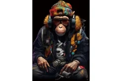 Schilderijen-Ter Halle Glasschilderij Aap met Koptelefoon 080120-1046