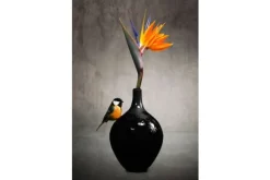 Online Glasschilderij Bird 080120-379 Schilderijen