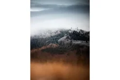 Online Glasschilderij bomen in de mist 080120-878 Schilderijen