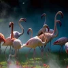 Online Glasschilderij Flamingo's 080120-974 Schilderijen