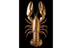 Schilderijen-Ter Halle Glasschilderij Gouden Kreeft 080120-1116
