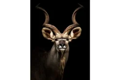 Schilderijen-Ter Halle Glasschilderij hert 080120-460