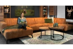 Schilderijen-Ter Halle Glasschilderij hert 080120-460