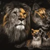 Sale Glasschilderij Leeuwenfamilie met Twee Welpjes 080120BS-622 Schilderijen