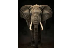 Schilderijen-Ter Halle Glasschilderij Olifant 080120-1075