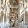 Schilderijen-Ter Halle Glasschilderij Panter in Paleis 080120-1159