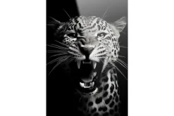 Outlet Glasschilderij Rawr Cheetah Schilderijen