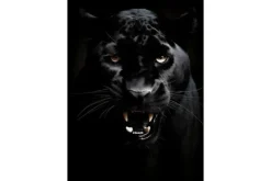 Schilderijen-Urban Cotton Glasschilderij Rawr Panther