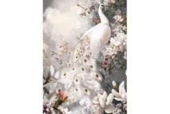 New Glasschilderij Witte pauw 0801203D-040 Schilderijen