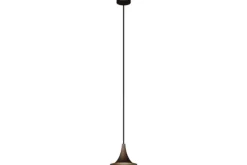 Hanglamp 1 lichts 6760-platinum Arezzo Hanglampen