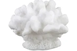 New Koraal 211980 Mare Decoratie