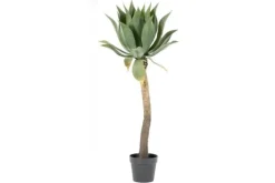 Decoratie-By-Boo Kunstplant 403091 Agave