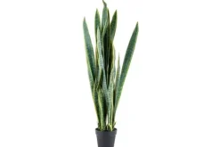 Decoratie-By-Boo Kunstplant 405117 Sanseveria