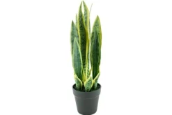 Discount Kunstplant 405116 Sanseveria Decoratie