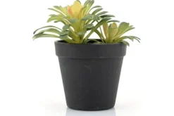 Kunstplant 403115 Vetplant Decoratie