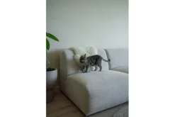 Elementen Banken|Loungebanken-Cozy Comfort Loungebank Elore