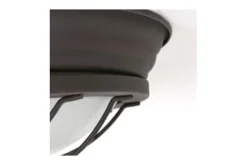 Plafondlamp-Steinhauer Plafondlamp 1357B Lisanne Mexlite