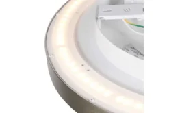 Plafondlamp-Steinhauer Plafondlamp Flady