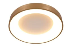 Outlet Plafondlamp 2562GO Ringlede Plafondlamp
