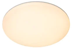 Best Plafondlamp Olson Plafondlamp