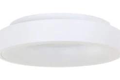 Plafondlamp-Steinhauer Plafondlamp 2563W Ringlede