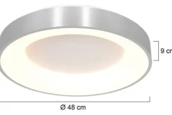 Clearance Plafondlamp 2563ZI Ringlede Plafondlamp