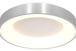 Plafondlamp-Steinhauer Plafondlamp 2562ZI Ringlede