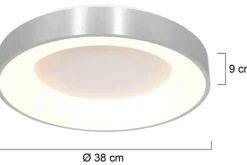Plafondlamp-Steinhauer Plafondlamp 2562ZI Ringlede